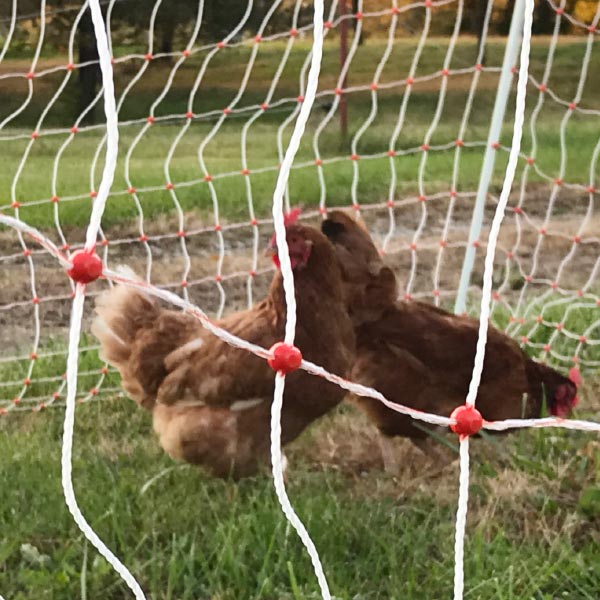 Poultry Netting Electric Fence Canada